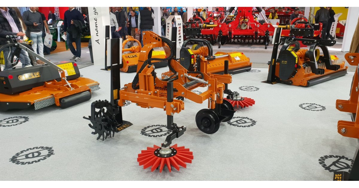 Innováció és hagyomány